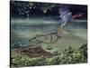 Caiman and Green-Backed Heron-Harro Maass-Stretched Canvas