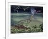 Caiman and Green-Backed Heron-Harro Maass-Framed Giclee Print