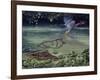 Caiman and Green-Backed Heron-Harro Maass-Framed Giclee Print