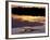 Caiman in Lagoon at Sunset, Pantanal, Brazil-Theo Allofs-Framed Photographic Print