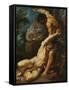 Cain Slaying Abel-Peter Paul Rubens-Framed Stretched Canvas