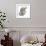 Cainotherium-null-Framed Photographic Print displayed on a wall