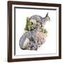 Cainotherium-null-Framed Photographic Print