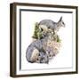 Cainotherium-null-Framed Photographic Print