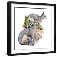 Cainotherium-null-Framed Photographic Print