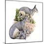 Cainotherium-null-Mounted Photographic Print