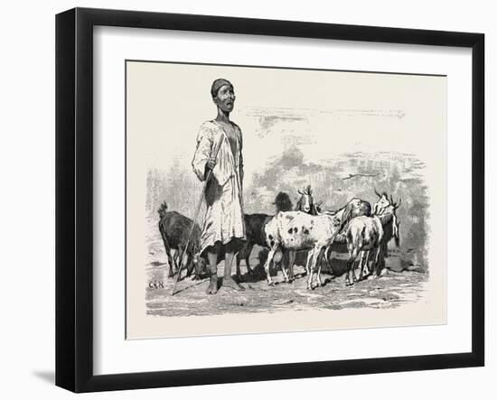 Cairene Milkman, Egypt, 1879-null-Framed Giclee Print