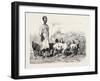 Cairene Milkman, Egypt, 1879-null-Framed Giclee Print