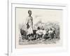 Cairene Milkman, Egypt, 1879-null-Framed Giclee Print