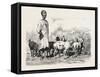 Cairene Milkman, Egypt, 1879-null-Framed Stretched Canvas