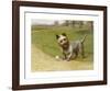 Cairn Terrier-Maud Earl-Framed Premium Giclee Print