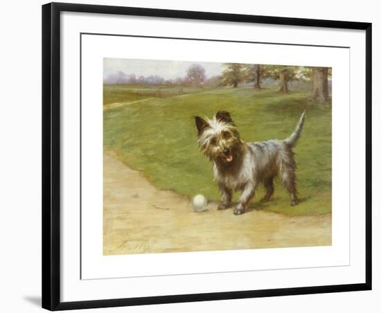 Cairn Terrier-Maud Earl-Framed Premium Giclee Print