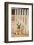 Cairn Terrier-DLILLC-Framed Photographic Print