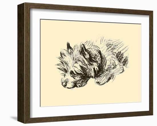 Cairn Terrier-Lucy Dawson-Framed Art Print