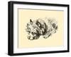 Cairn Terrier-Lucy Dawson-Framed Art Print