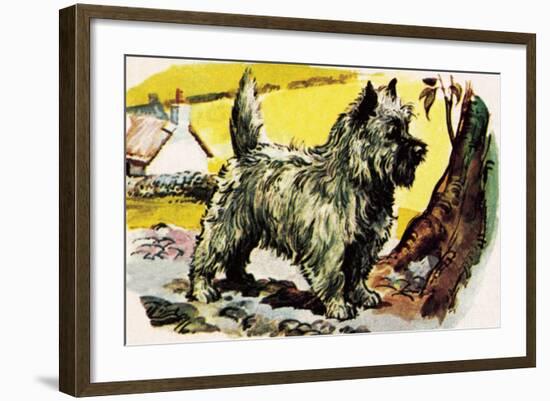 Cairn Terrier-English School-Framed Giclee Print