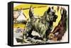 Cairn Terrier-English School-Framed Stretched Canvas