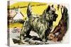 Cairn Terrier-English School-Stretched Canvas