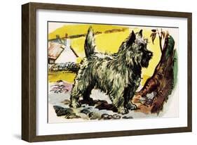 Cairn Terrier-English School-Framed Giclee Print