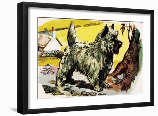 Cairn Terrier-English School-Framed Giclee Print