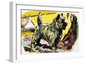 Cairn Terrier-English School-Framed Giclee Print