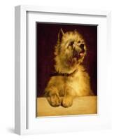 Cairn Terrier-George Earl-Framed Giclee Print