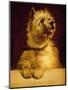 Cairn Terrier-George Earl-Mounted Giclee Print