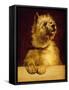 Cairn Terrier-George Earl-Framed Stretched Canvas