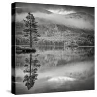 Cairngorm Reflection-Doug Chinnery-Stretched Canvas