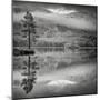 Cairngorm Reflection-Doug Chinnery-Mounted Photographic Print