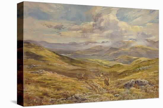 Cairngorms from Kinrara, 1988-Tim Scott Bolton-Stretched Canvas