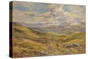 Cairngorms from Kinrara, 1988-Tim Scott Bolton-Stretched Canvas