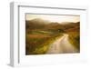 Cairngorms in Autumn-pink candy-Framed Photographic Print