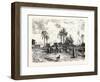 Cairo; from the Left Bank of the Nile, Egypt, 1879-null-Framed Giclee Print