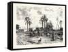 Cairo; from the Left Bank of the Nile, Egypt, 1879-null-Framed Stretched Canvas