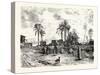 Cairo; from the Left Bank of the Nile, Egypt, 1879-null-Stretched Canvas