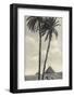 Cairo IV Crop-Wild Apple Portfolio-Framed Photographic Print