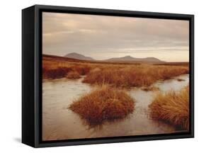 Caithness, Highlands Region, Scotland, UK, Europe-Charles Bowman-Framed Stretched Canvas