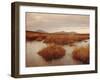 Caithness, Highlands Region, Scotland, UK, Europe-Charles Bowman-Framed Photographic Print