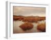 Caithness, Highlands Region, Scotland, UK, Europe-Charles Bowman-Framed Photographic Print