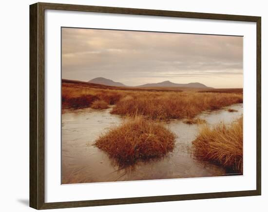 Caithness, Highlands Region, Scotland, UK, Europe-Charles Bowman-Framed Photographic Print