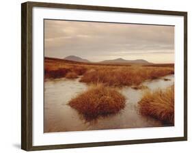 Caithness, Highlands Region, Scotland, UK, Europe-Charles Bowman-Framed Photographic Print