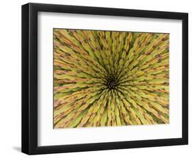 Cajas National Park, Ecuador-Merrill Images-Framed Photographic Print