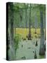 Cajun Country, Atchatalaya Swamp, Near Gibson, Louisiana, USA-Robert Francis-Stretched Canvas
