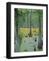 Cajun Country, Atchatalaya Swamp, Near Gibson, Louisiana, USA-Robert Francis-Framed Photographic Print