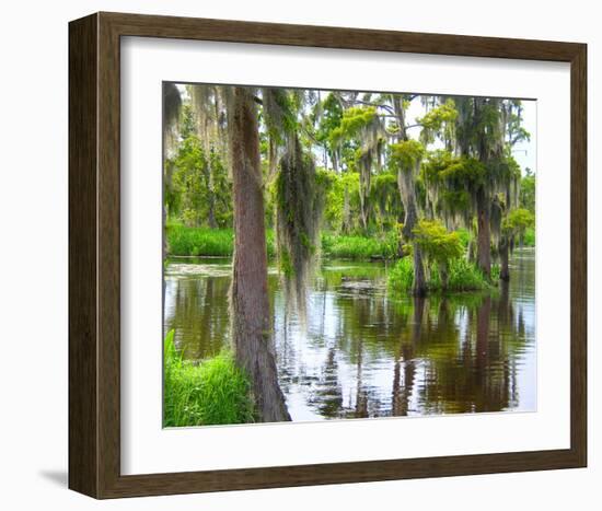 Cajun Country I-null-Framed Art Print