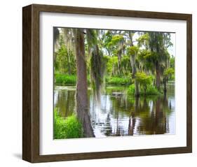 Cajun Country I-null-Framed Art Print