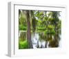 Cajun Country I-null-Framed Art Print