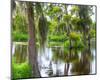 Cajun Country I-null-Mounted Art Print