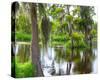 Cajun Country I-null-Stretched Canvas